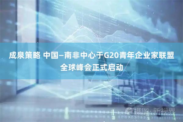 成泉策略 中国—南非中心于G20青年企业家联盟全球峰会正式启动